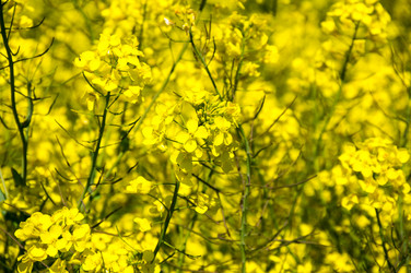 Similar image 22455228