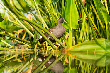 Similar image 22455242