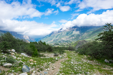 Similar image 22455202