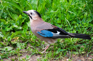 Similar image 22455216