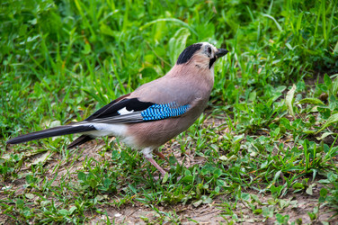 Similar image 22455217