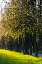 Similar image 22455289