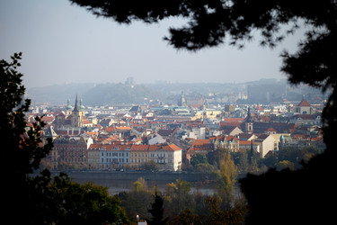 Similar image 22455500