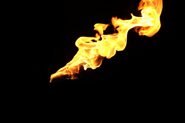 Similar image 22455512