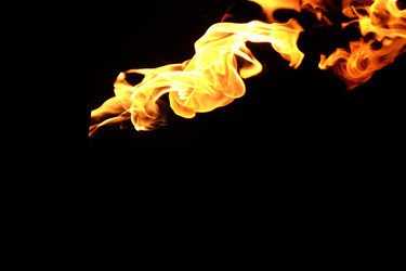 Similar image 22455515