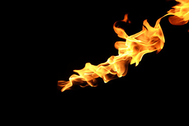 Similar image 22455517