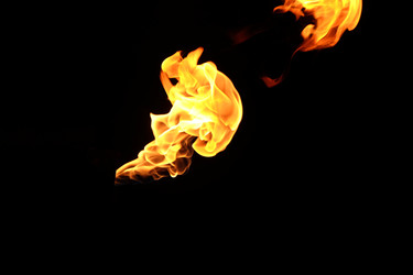 Similar image 22455528