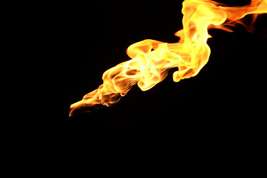 Similar image 22455530