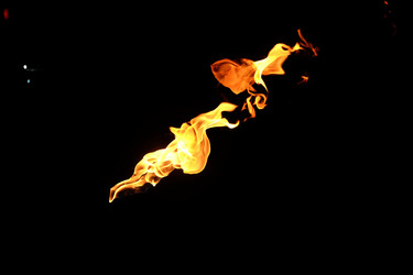 Similar image 22455533