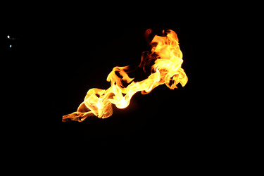 Similar image 22455534