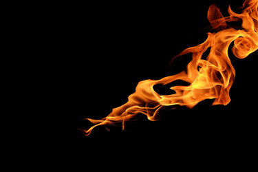 Similar image 22455540