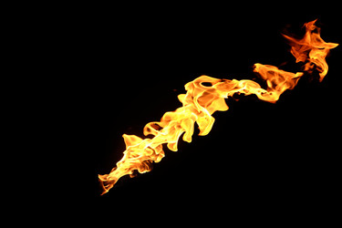 Similar image 22455544