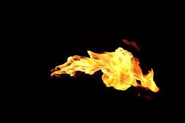 Similar image 22455547