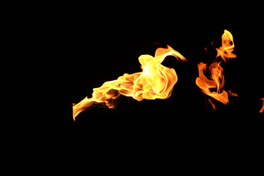 Similar image 22455588