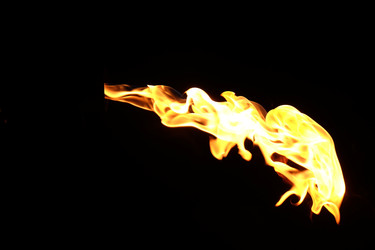 Similar image 22455590