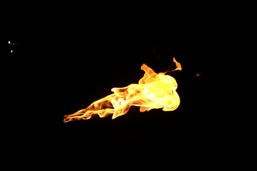 Similar image 22455616