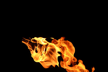 Similar image 22455645