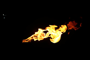 Similar image 22455649