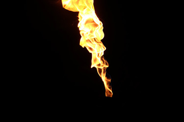 Similar image 22455695