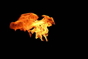 Similar image 22455696