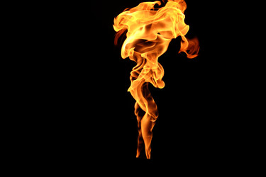 Similar image 22455829