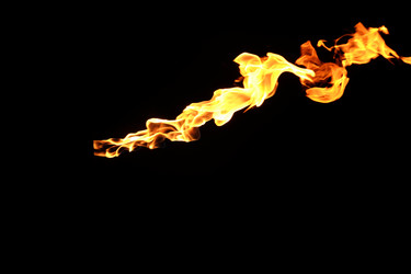 Similar image 22455830