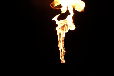 Similar image 22455100