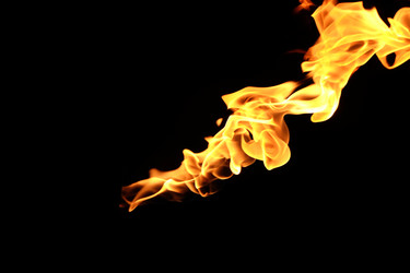 Similar image 22455115