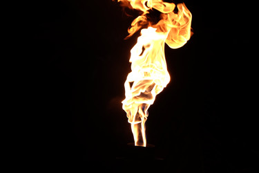 Similar image 22455118