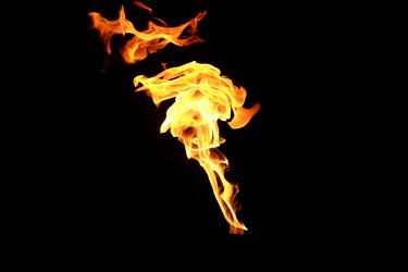 Similar image 22455382