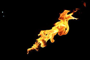 Similar image 22455383