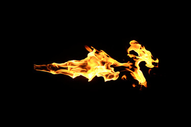 Similar image 22455390