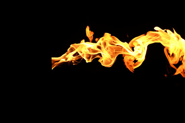 Similar image 22455392