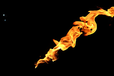 Similar image 22455459