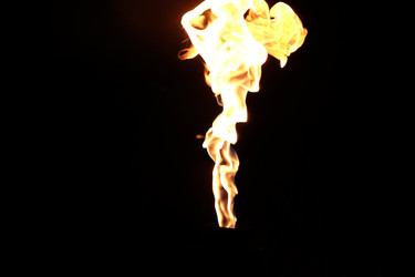 Similar image 22456953