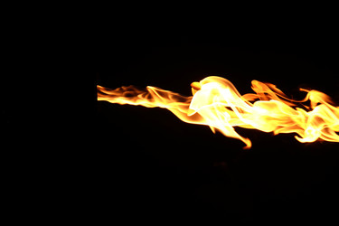 Similar image 22456954