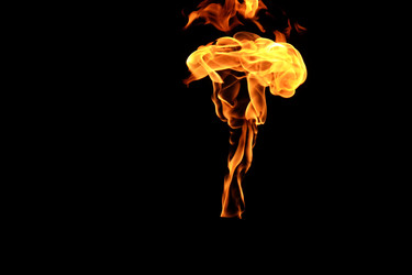 Similar image 22456972