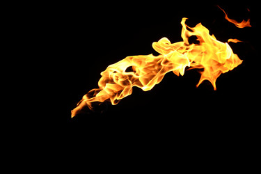 Similar image 22455606