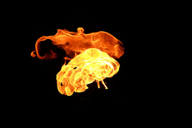 Similar image 22455622