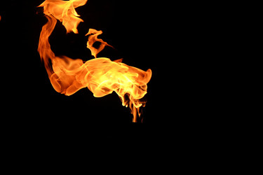 Similar image 22455643