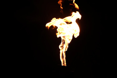 Similar image 22455831