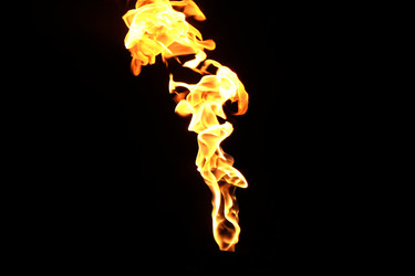 Similar image 22455109