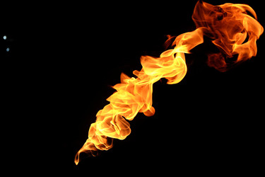 Similar image 22455384