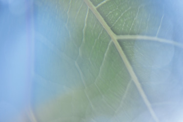 Similar image 22466123