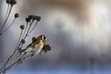 Similar image 22455141