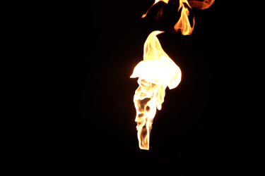 Similar image 22455476