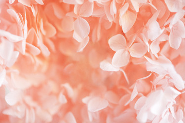 Similar image 22466244