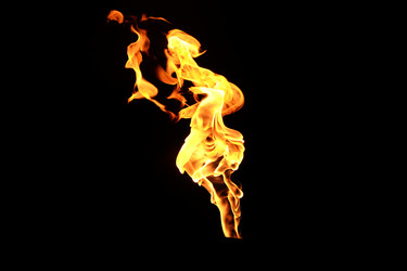 Similar image 22455505