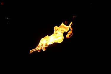 Similar image 22455519