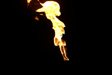 Similar image 22455521